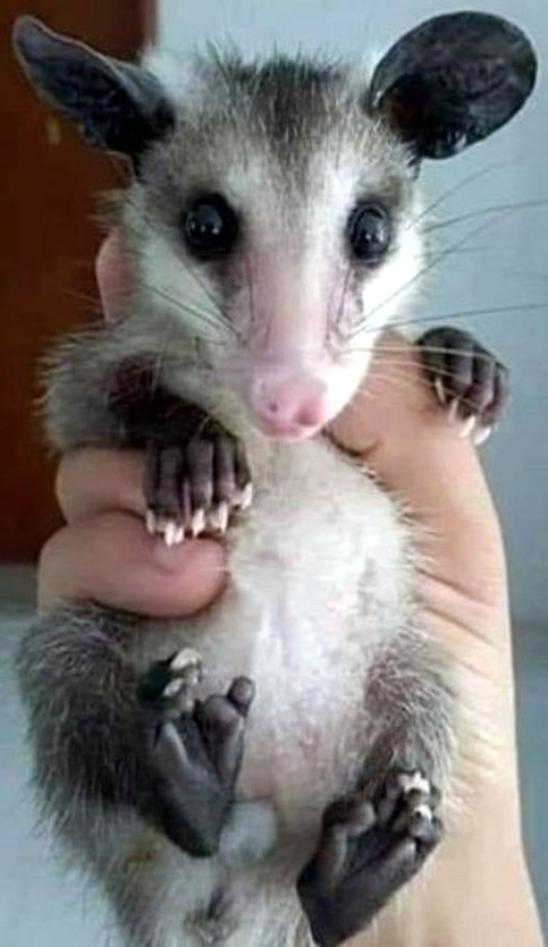 Put me down, please