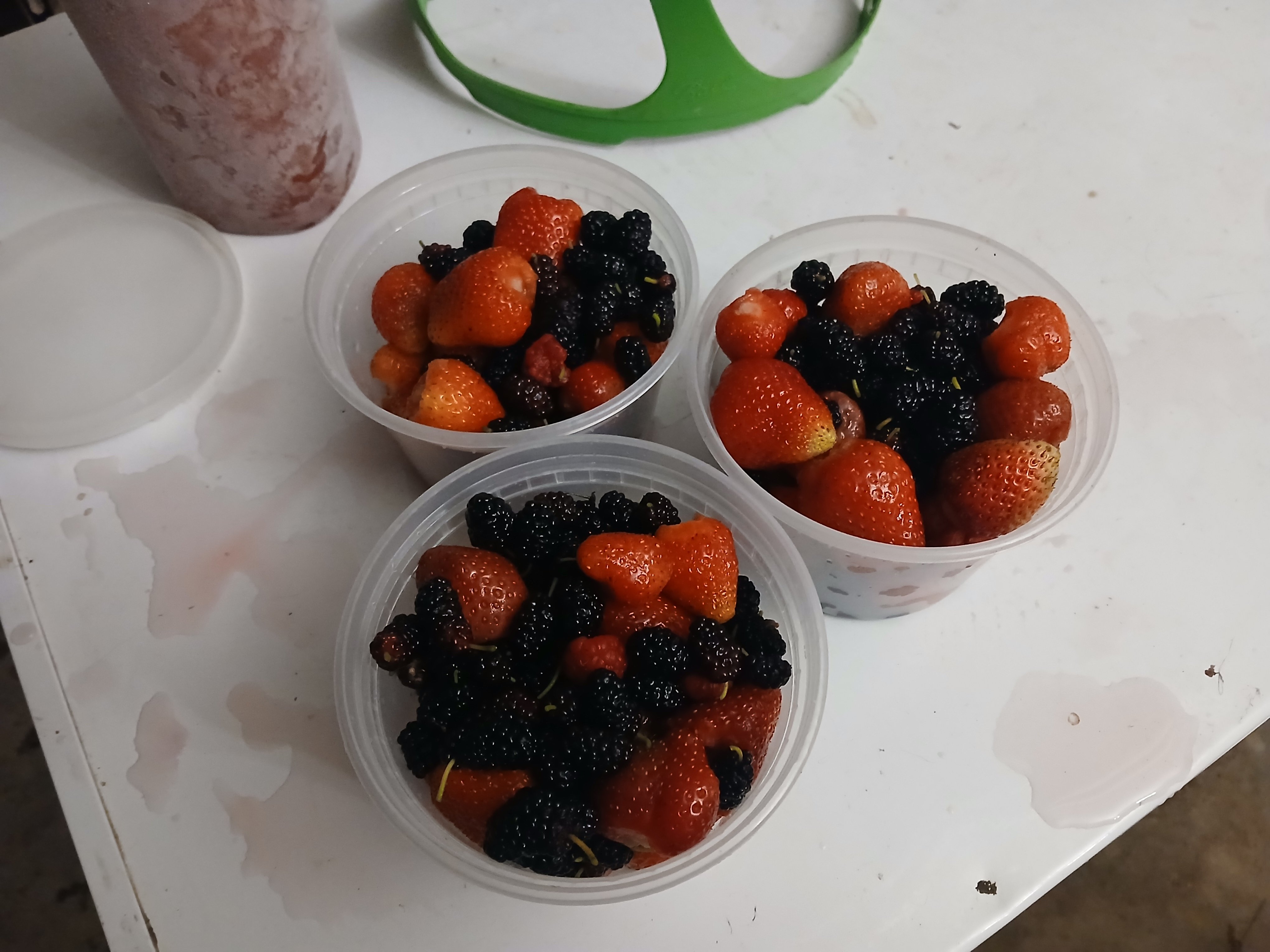Berries