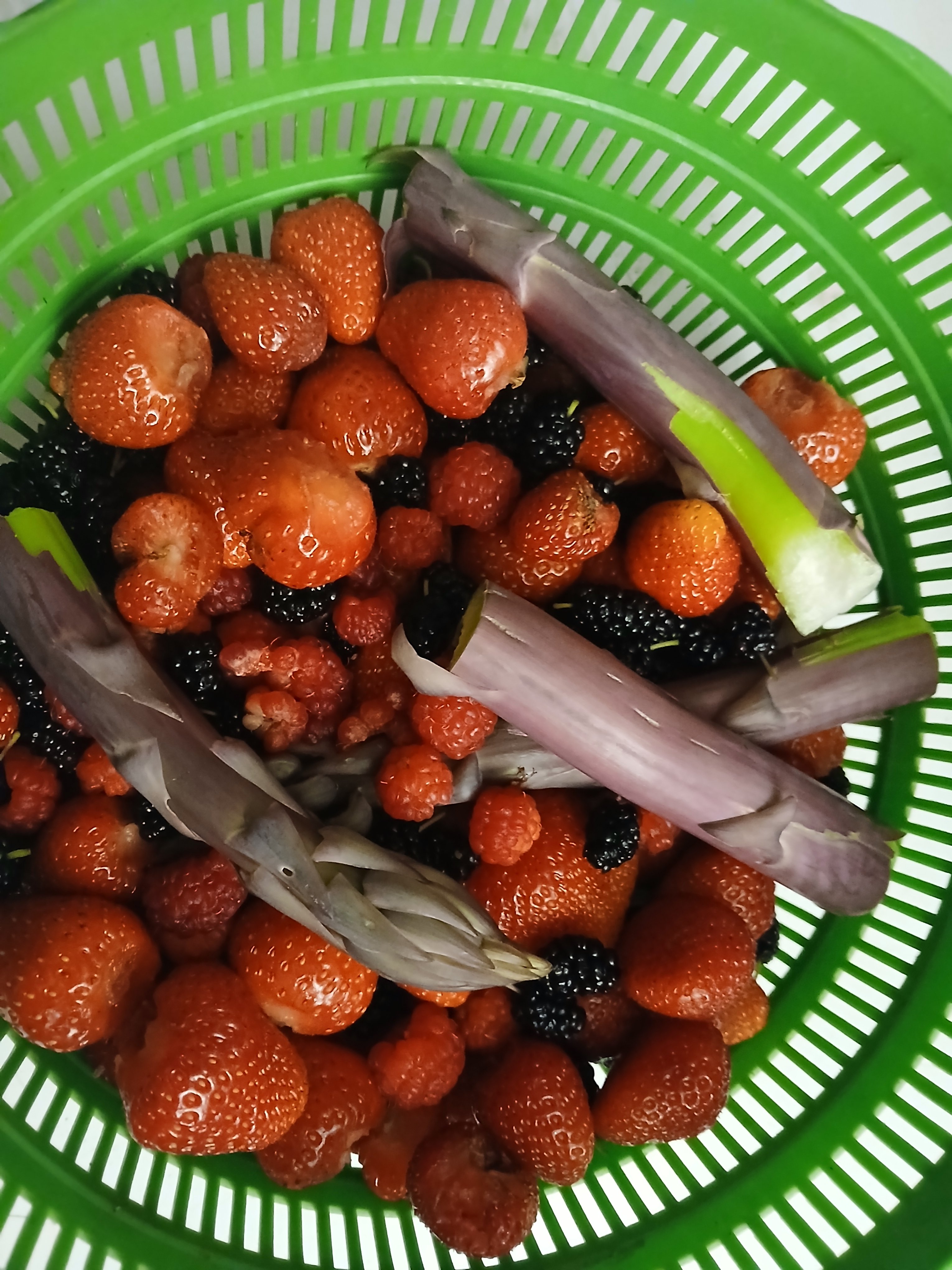 Berries2