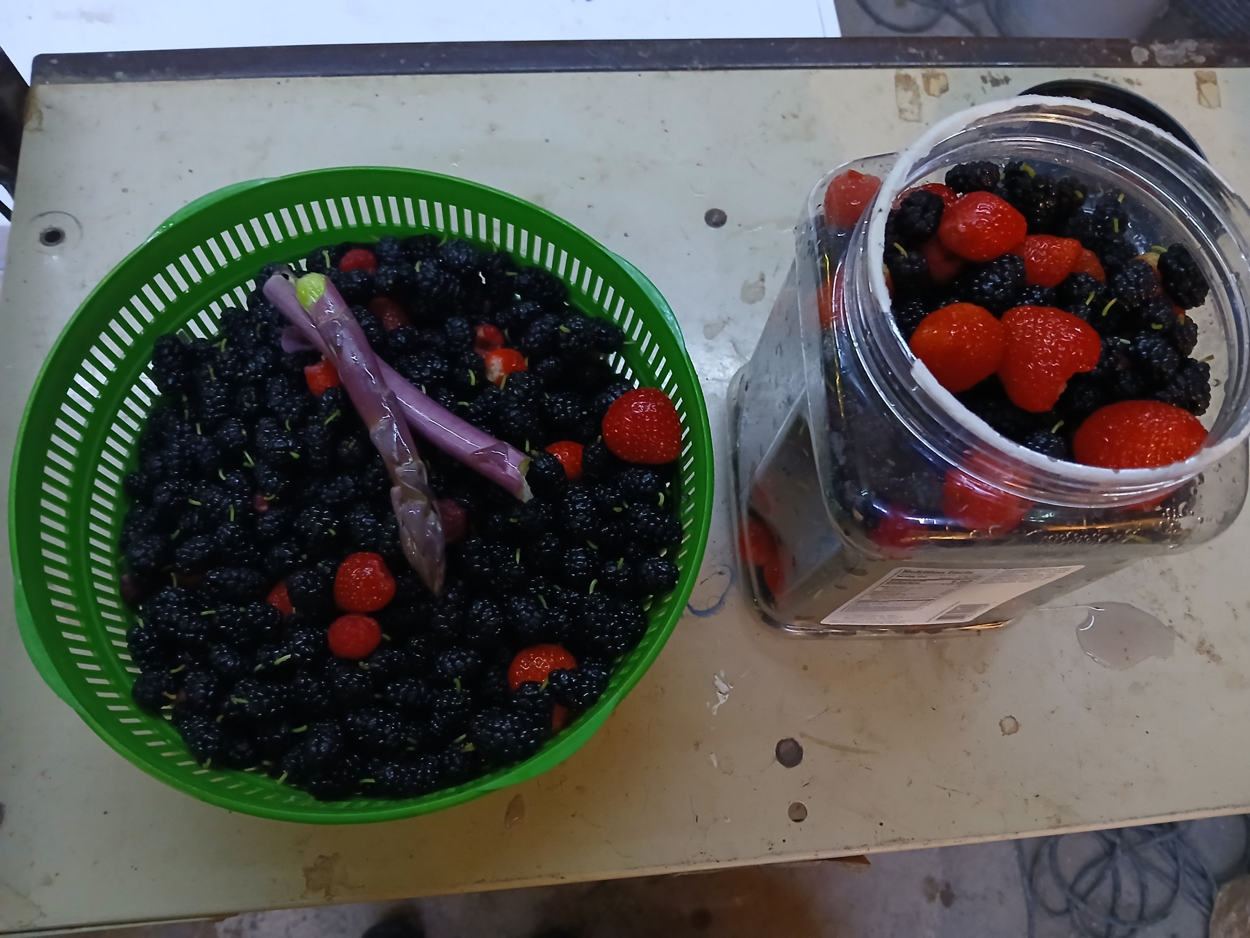 Berries3