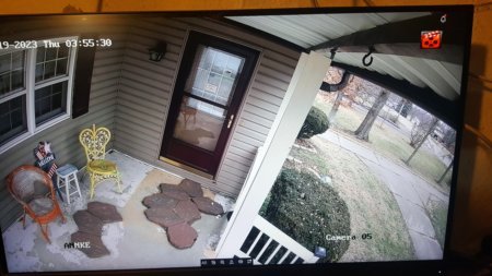 Right-Porch Porch View
