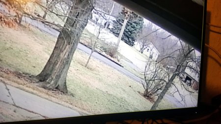Extreme left-most view zoomed.