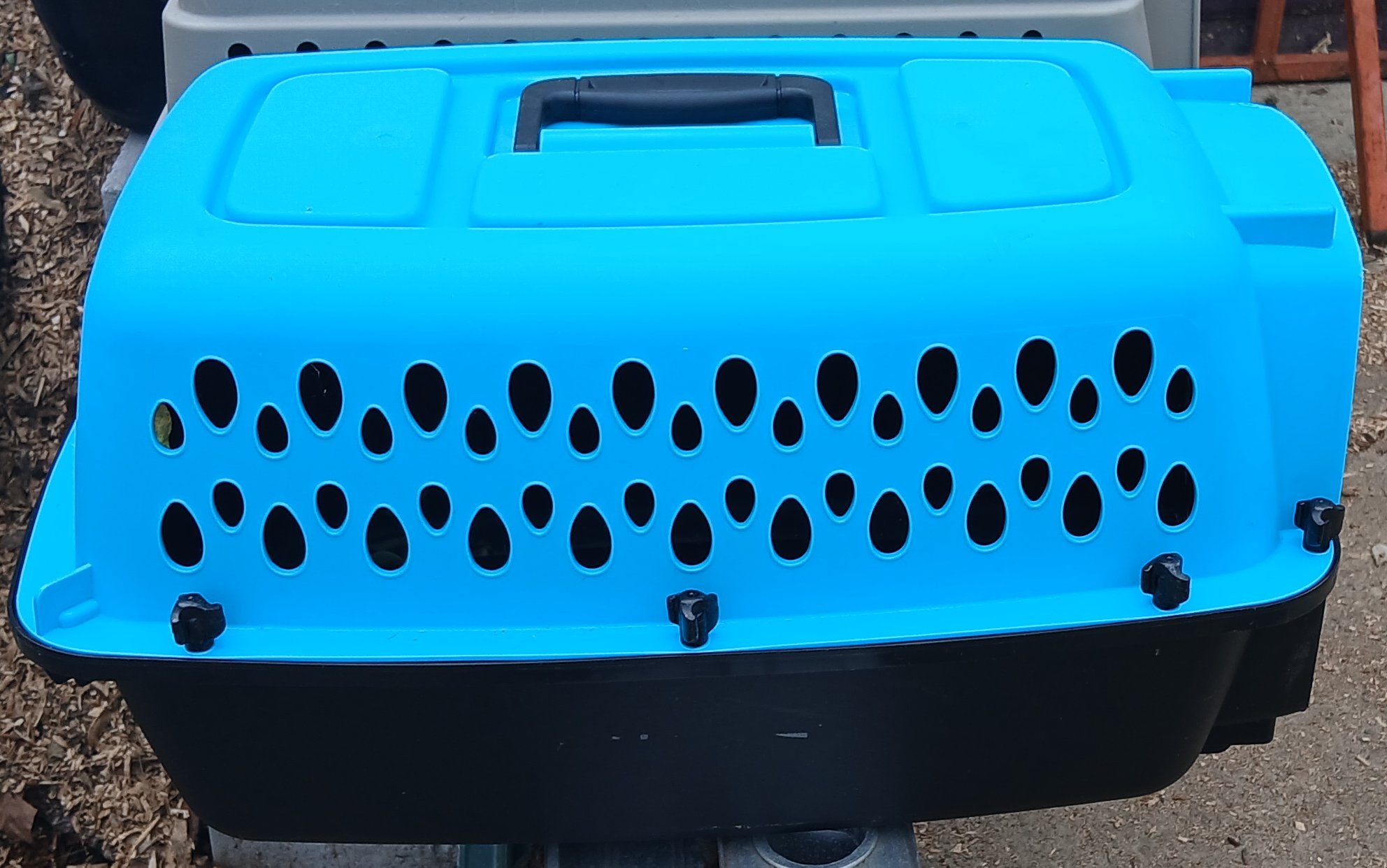 Aspen Pet Carrier