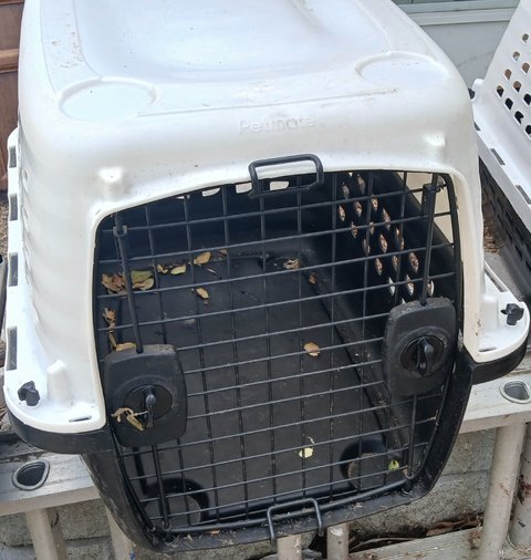 PetMate Pet Cargo Crate2