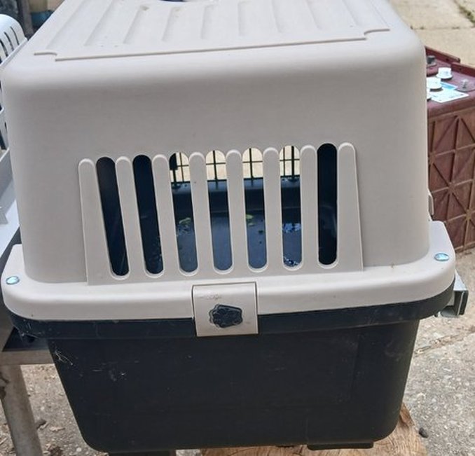 Precision Pet Carrier2