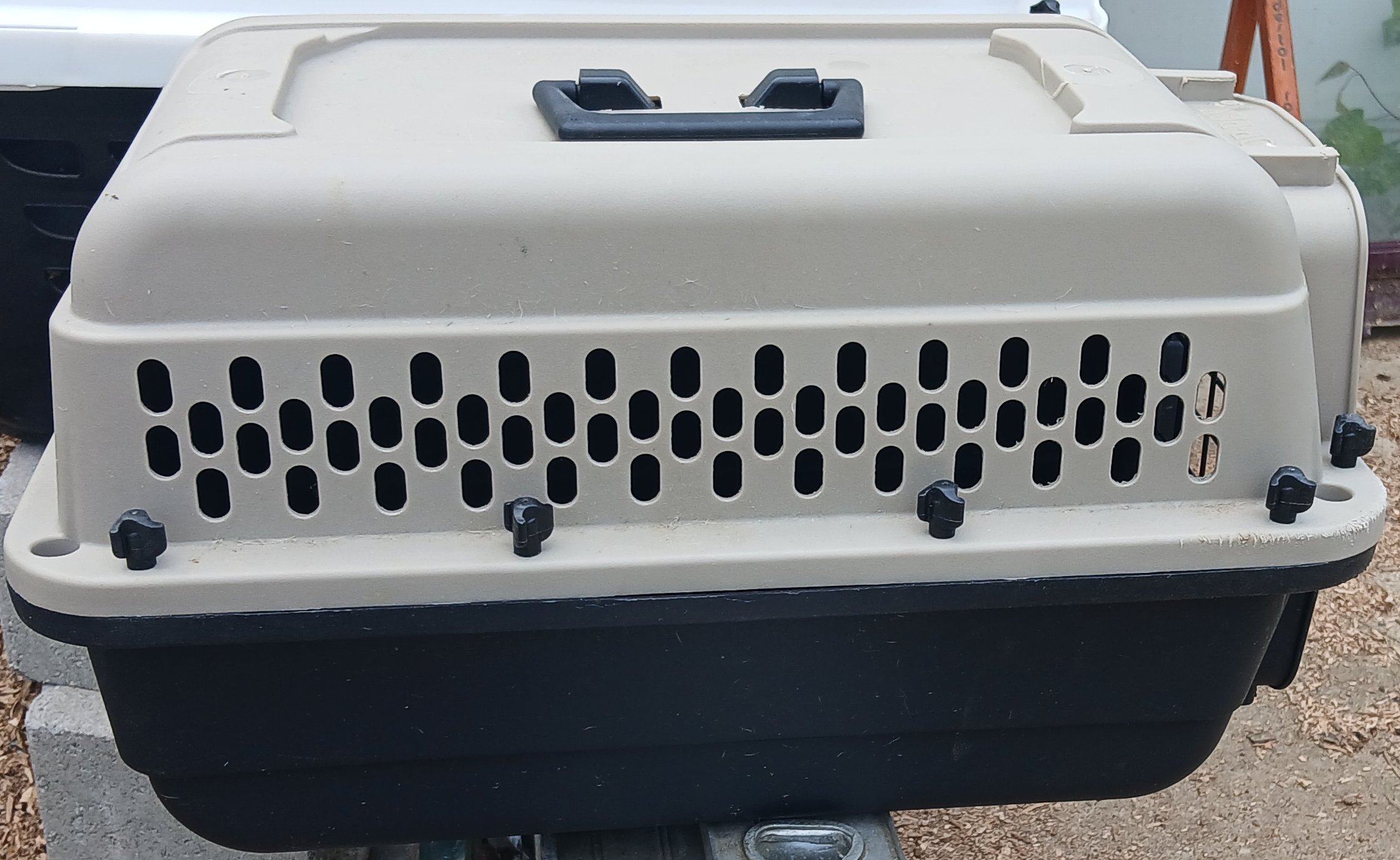 Top Paw Pet Cargo Crate