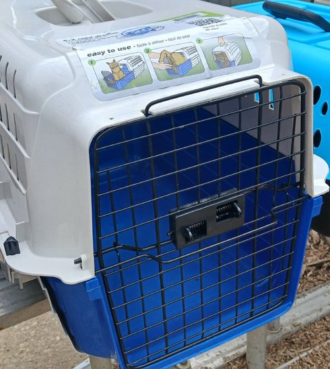 Van Ness Pet Cart
