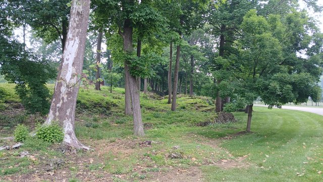 Ferncliff Cemetery