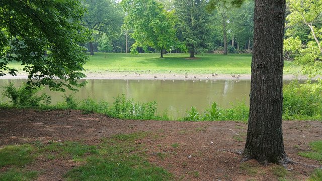 Ferncliff Cemetery